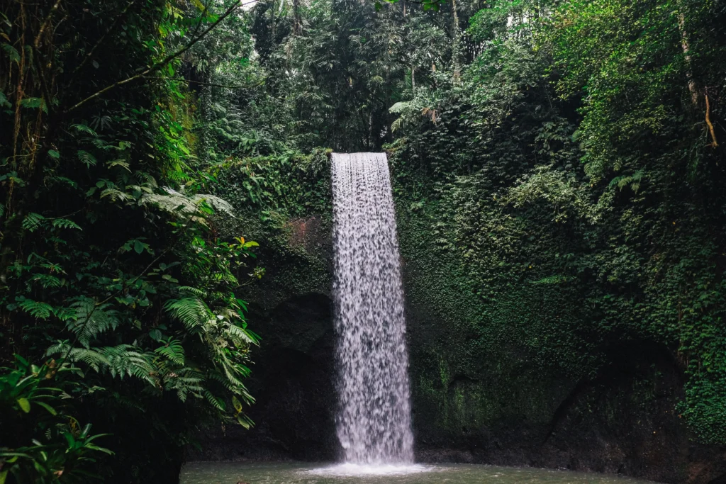 Bali wet season lush green waterfall